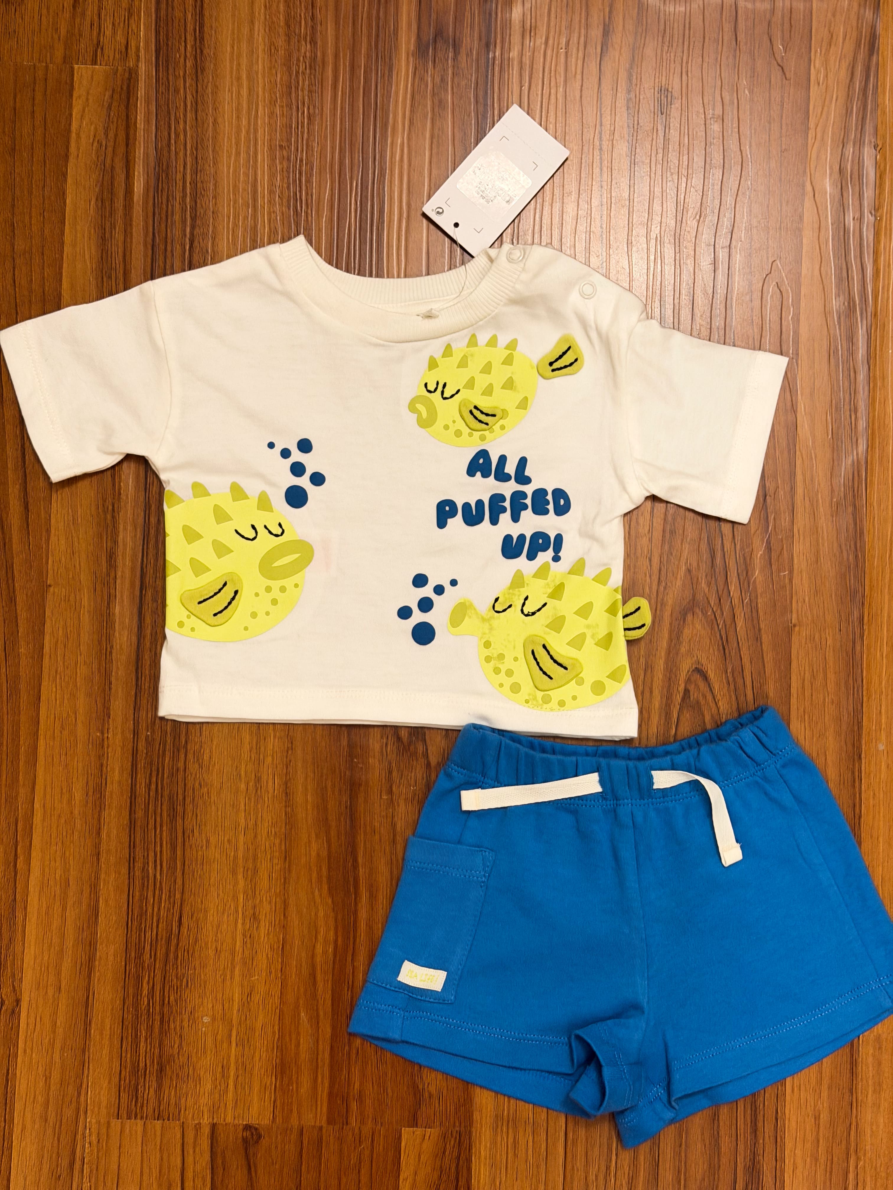 T Shirt & Shorts Set (Puffer Fish)