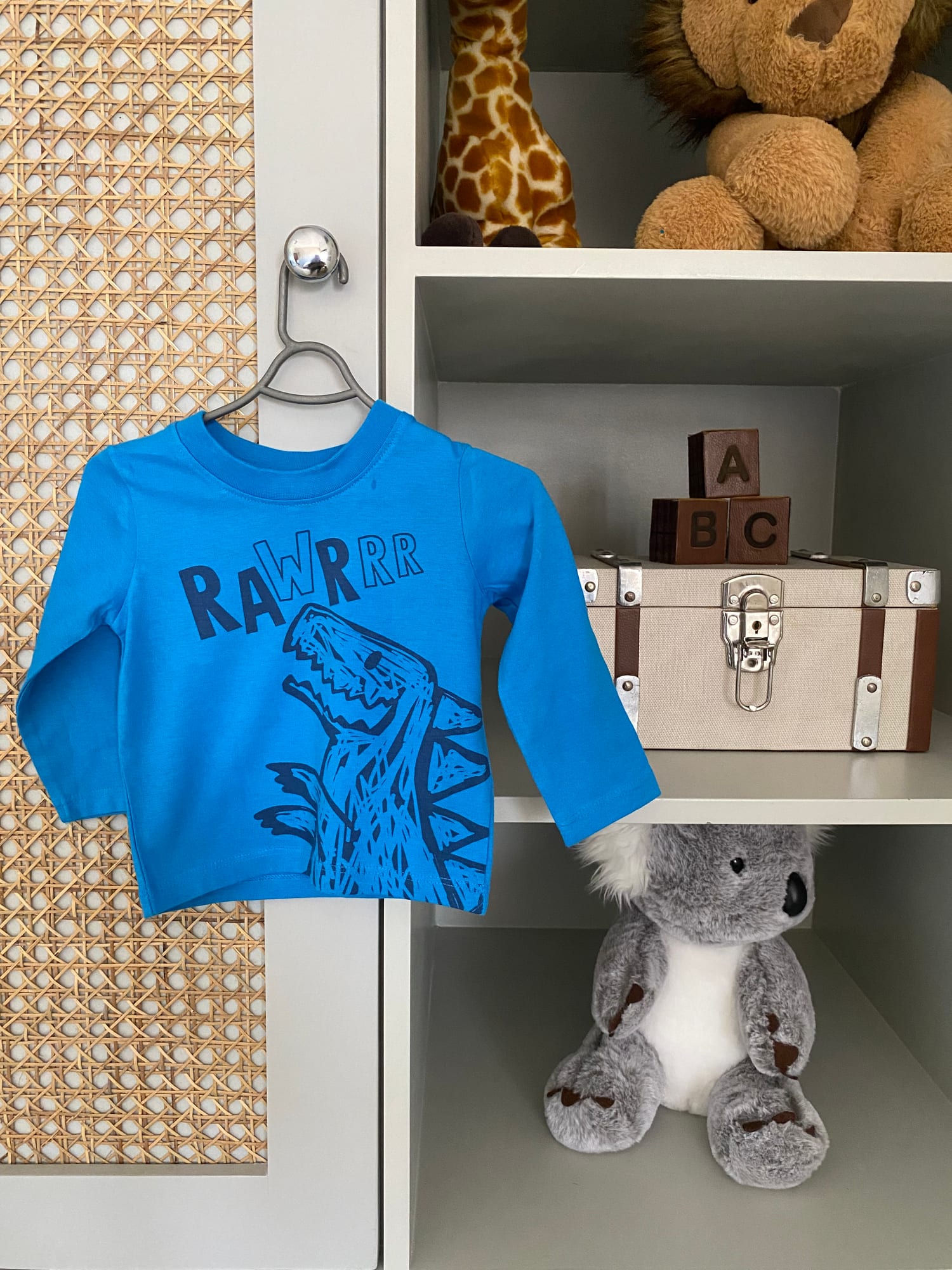 Rawr Full Sleeve Dinosaur T Shirt