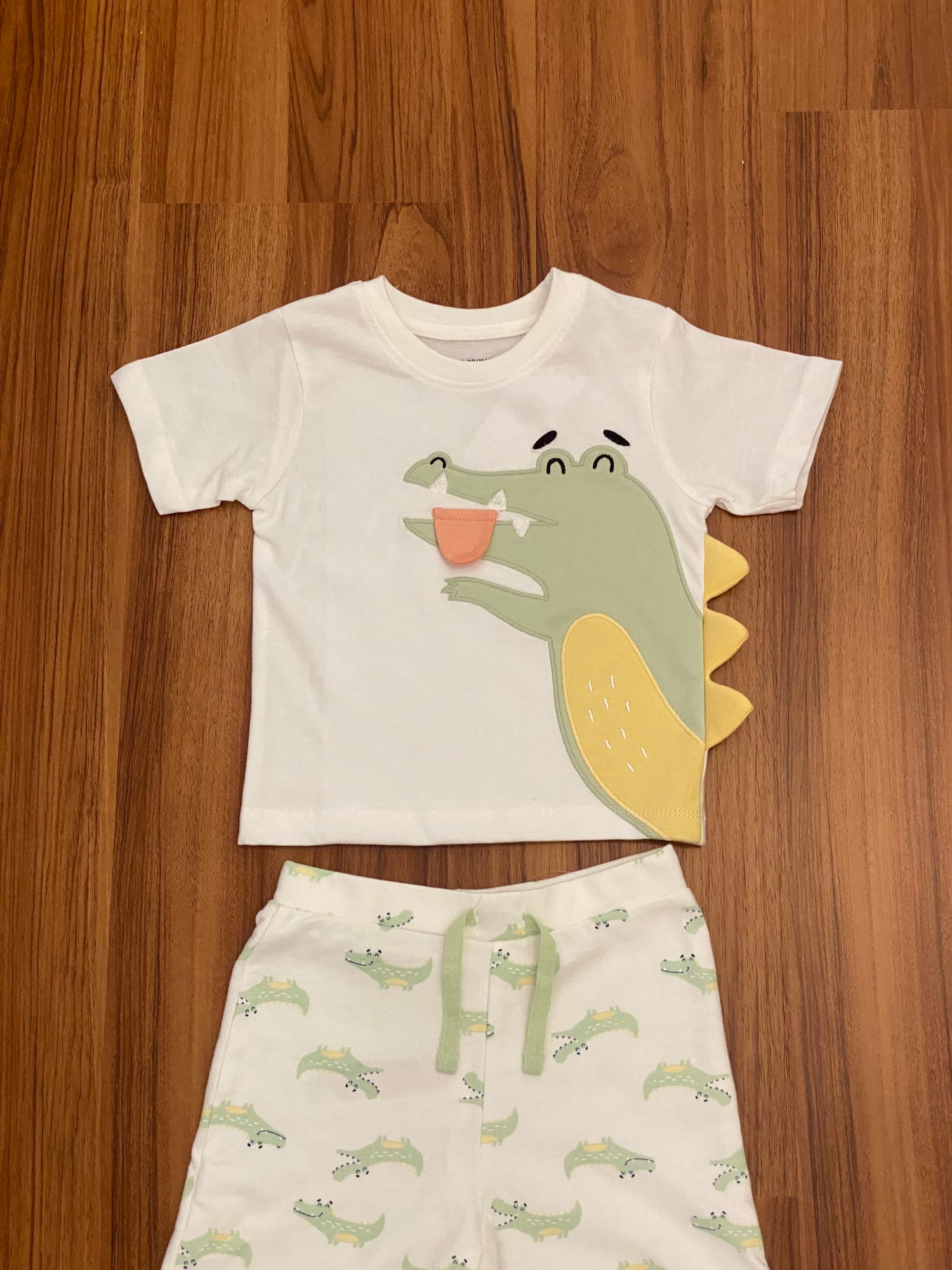 Dinosaur T shirt & Shorts Set
