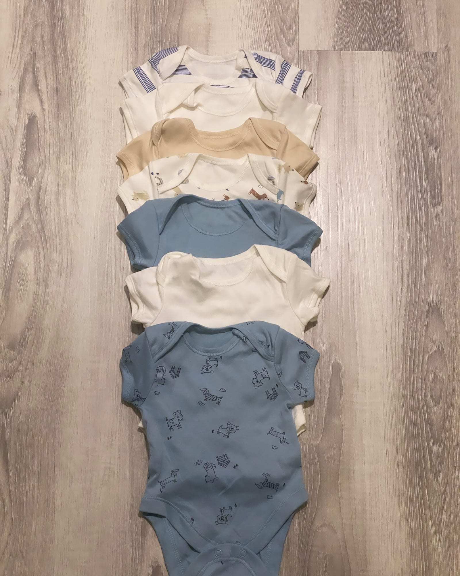 Pack of 7 Bodysuit Set (Blue Dog)