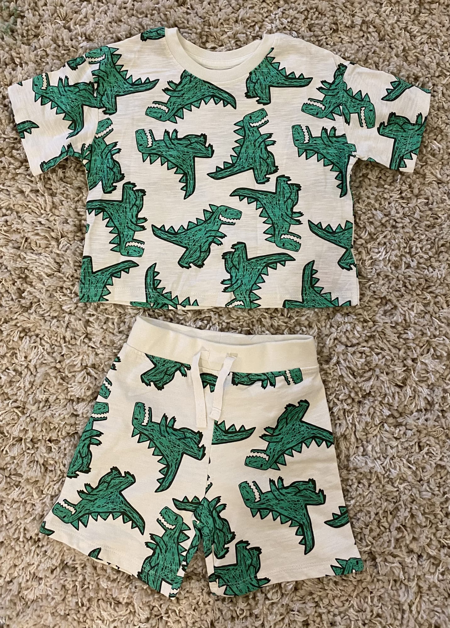 Alligator T Shirt & Shorts Set