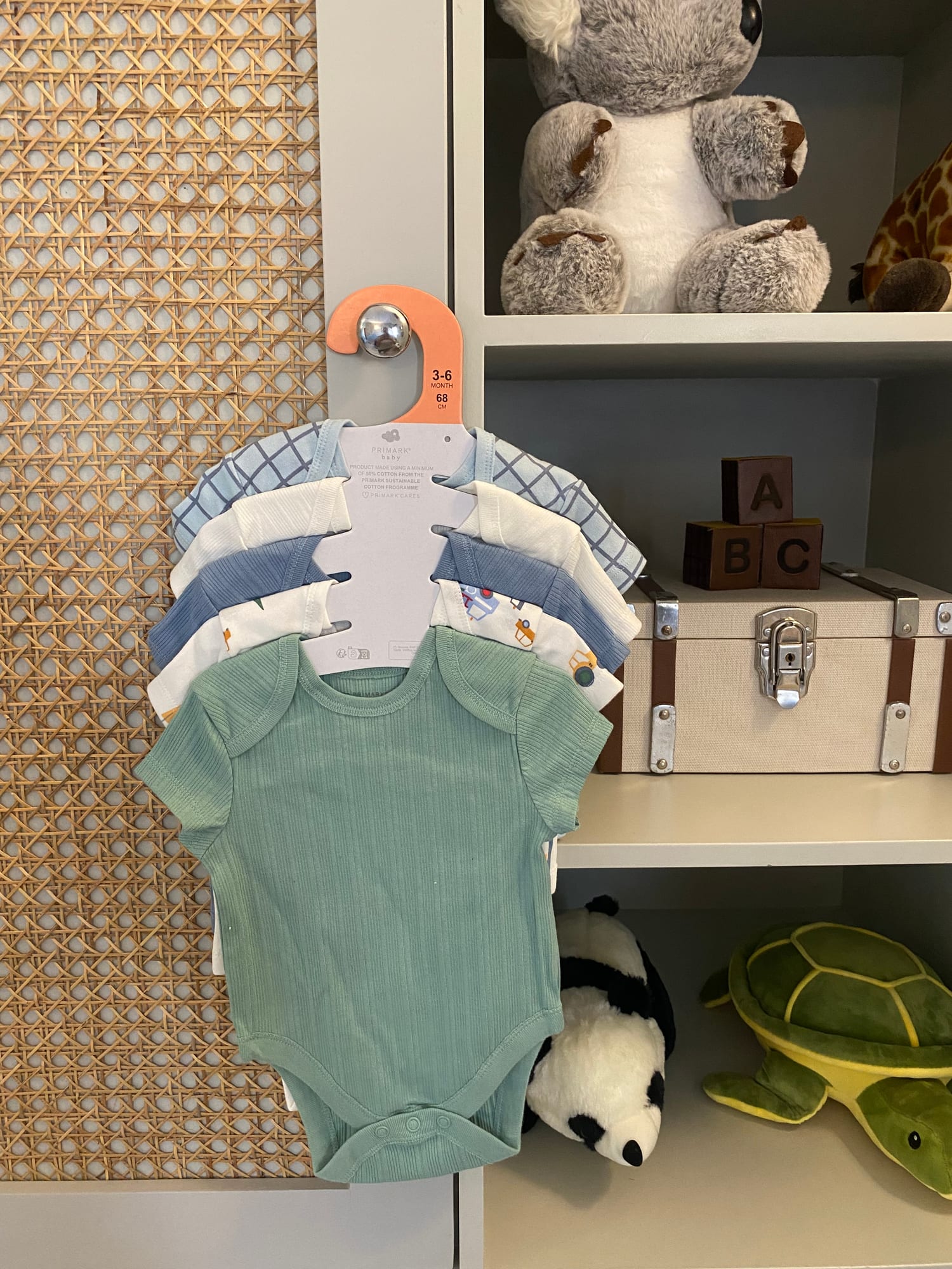 Pack of 5 Bodysuit Set (Car)