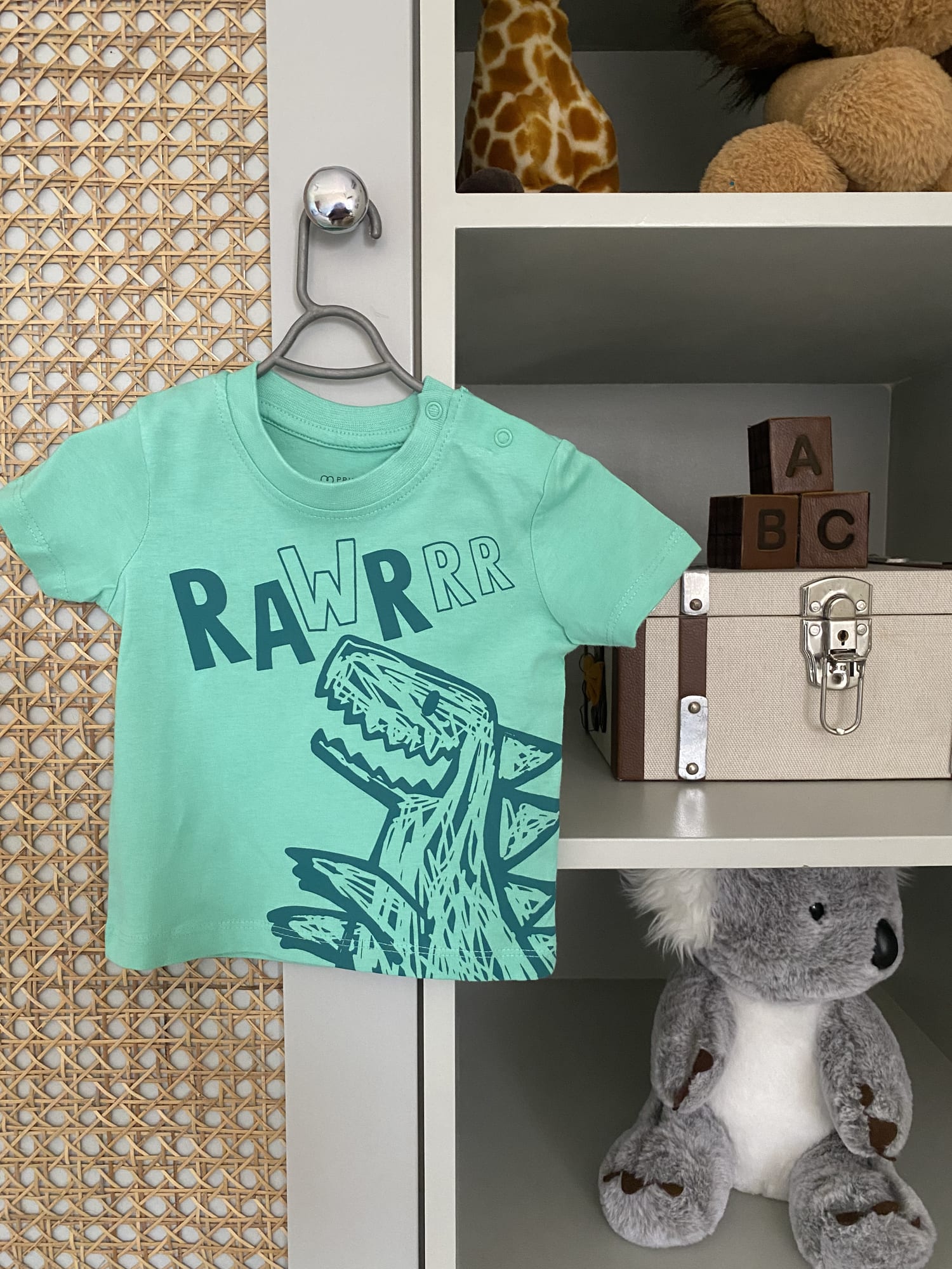 Dinosaur Rawr T Shirt