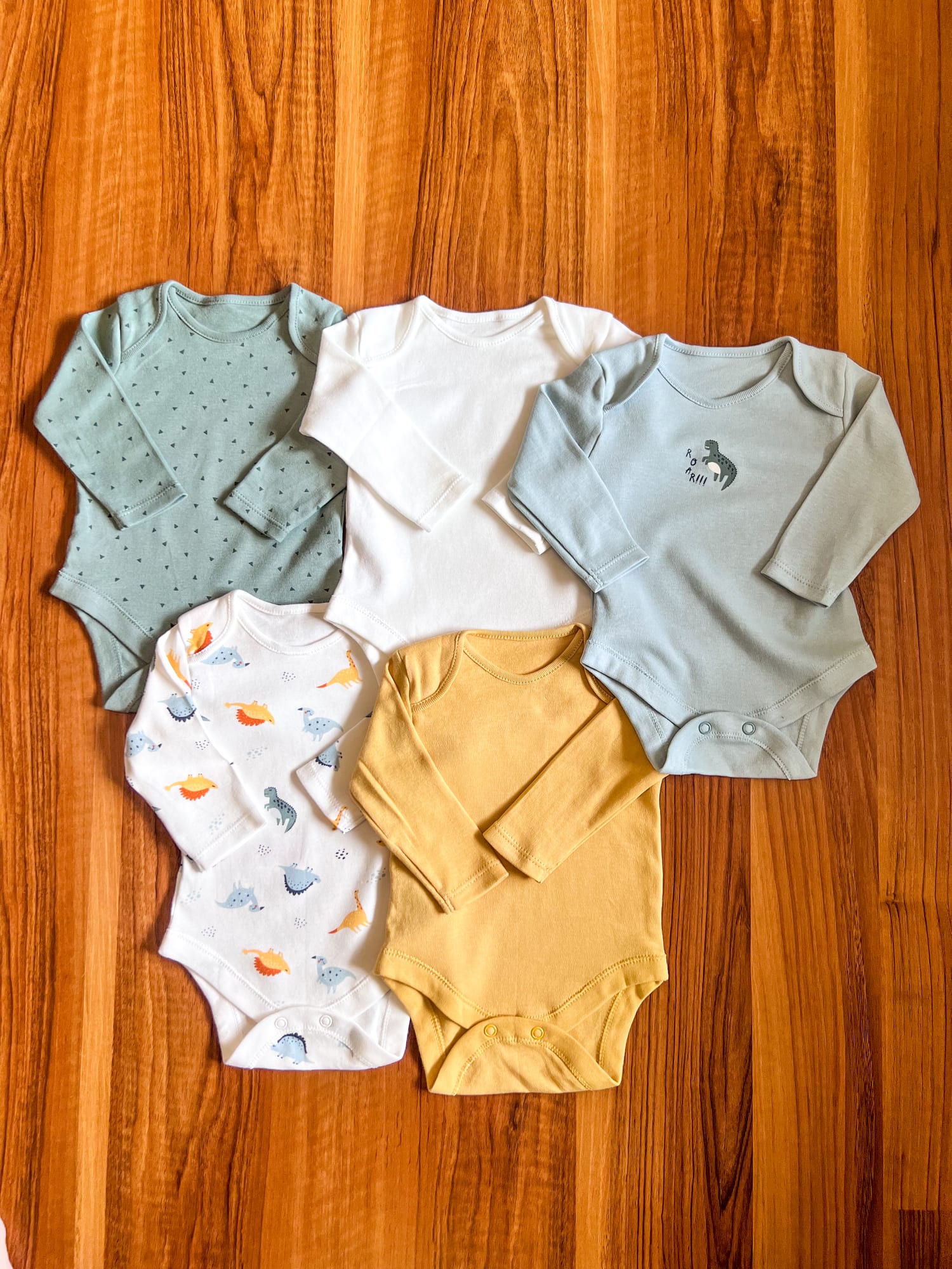 Pack of 5 Dinosaur Long Sleeve Bodysuit Set