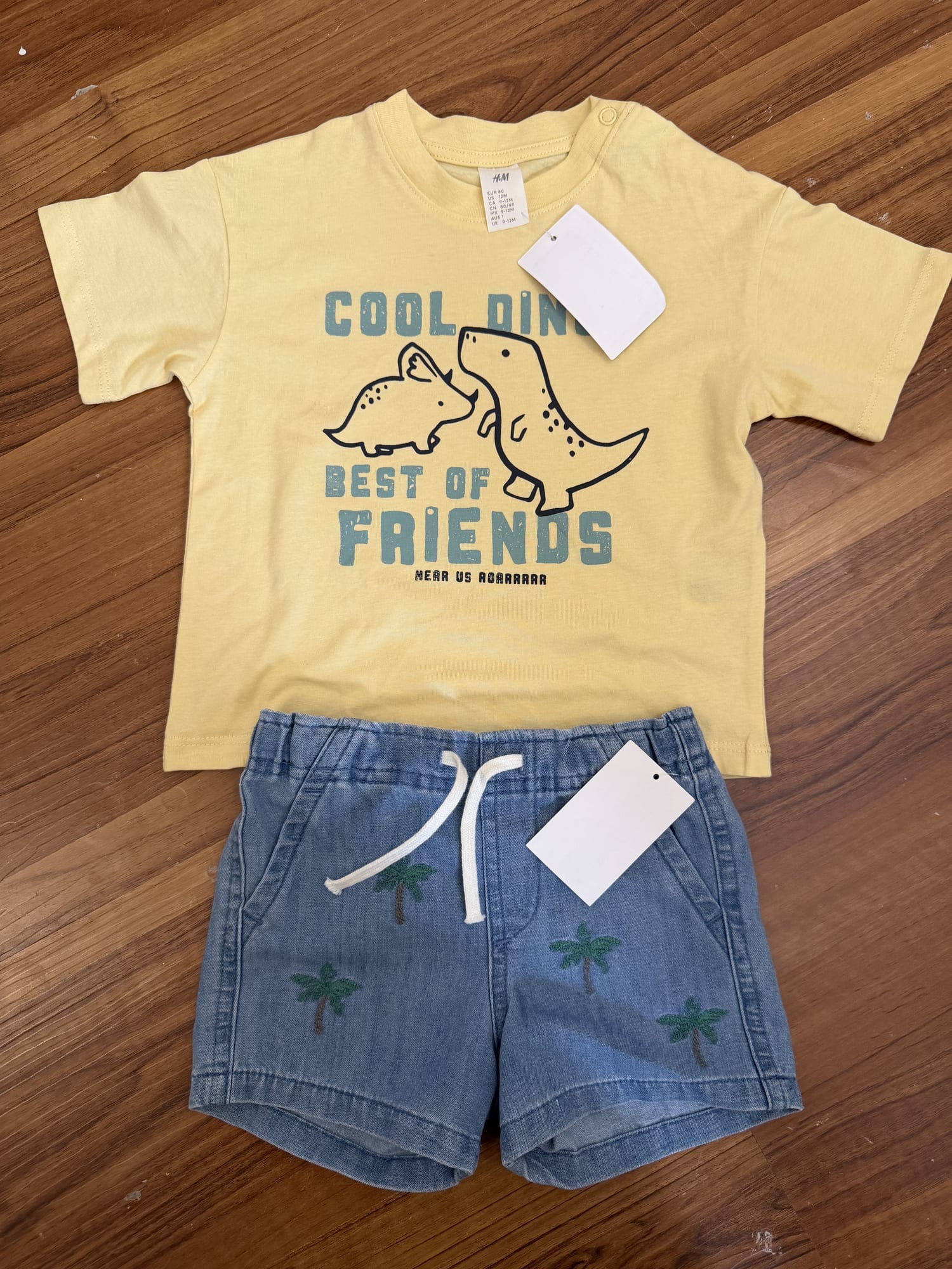 H&M Dino Tshirt & Shorts Set