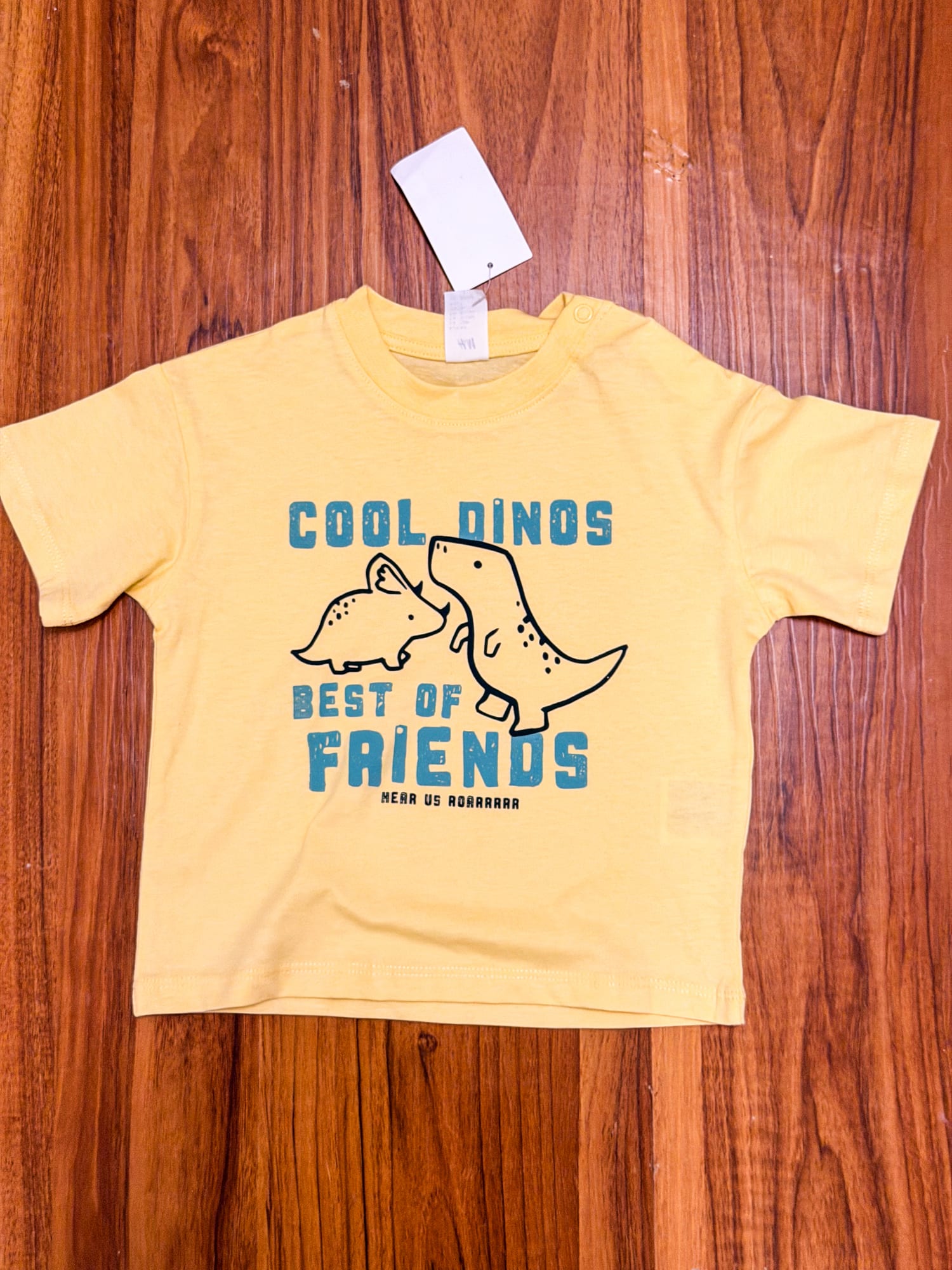 H&M Dino T shirt