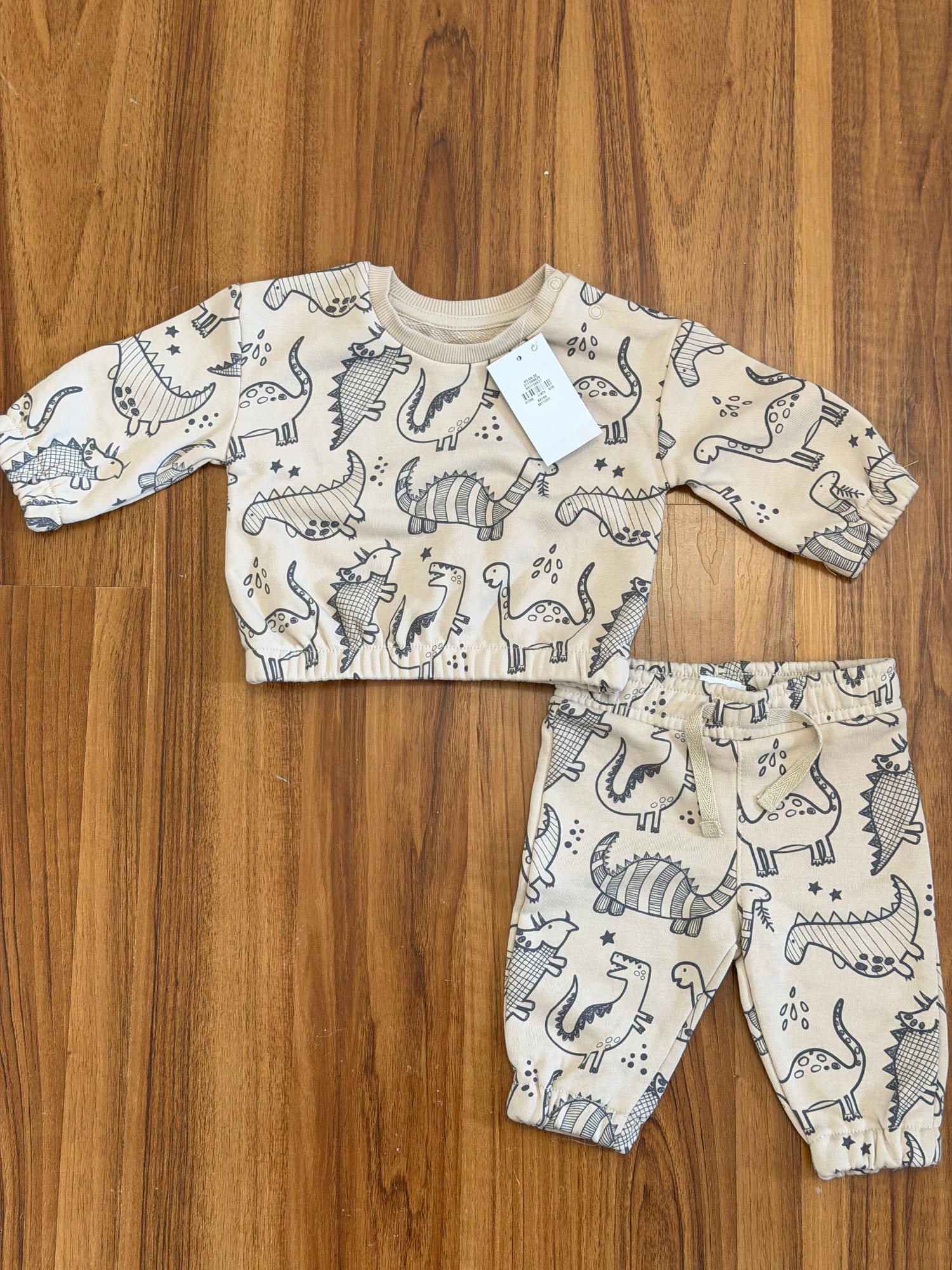 Dinosaur Sweatshirt & Jogger Pants Set