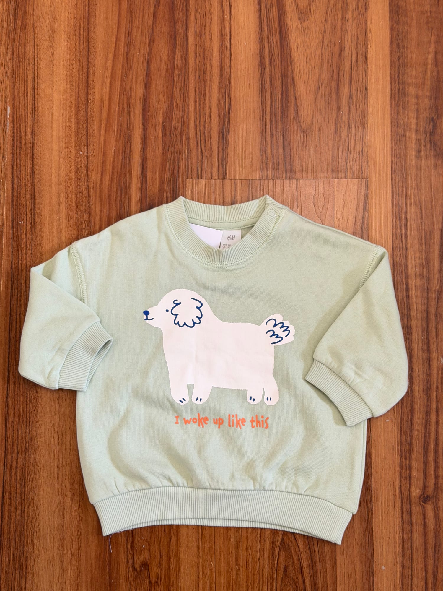 H&M Green Graphic Sweatshirt